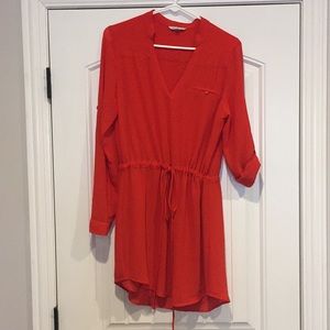 Naked Zebra Long Sleeve Dress